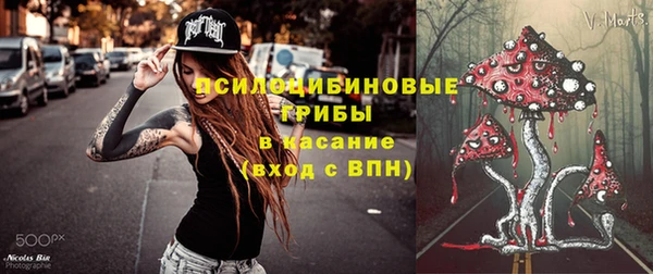 соль ск Кинешма