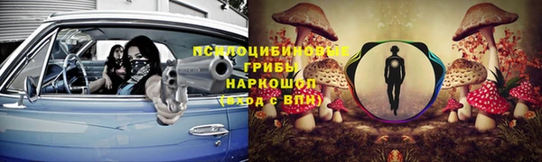 соль ск Кинешма